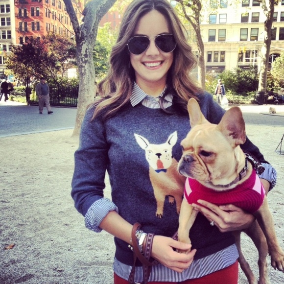J Crew Frenchie Sweater Dog French 